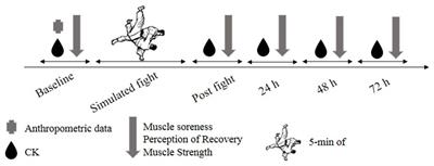 Kinetics of Muscle Damage Biomarkers at Moments Subsequent to a Fight in Brazilian Jiu-Jitsu Practice by Disabled Athletes